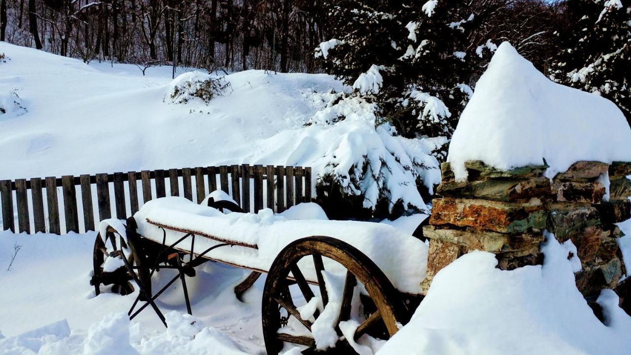 Pod Hradom Restaurant & Pension Topoľčany 外观 照片